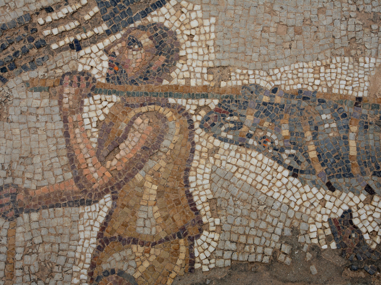 bulla regia mosaic