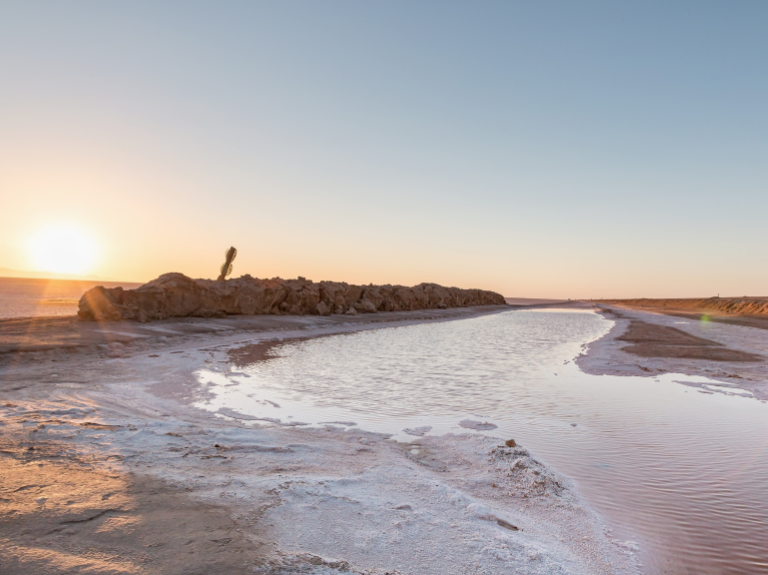 chott djerid characteristics