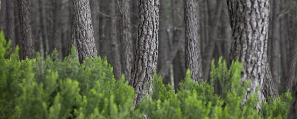 Les Aventures Cachées d’El Feidja et Ain Soltane