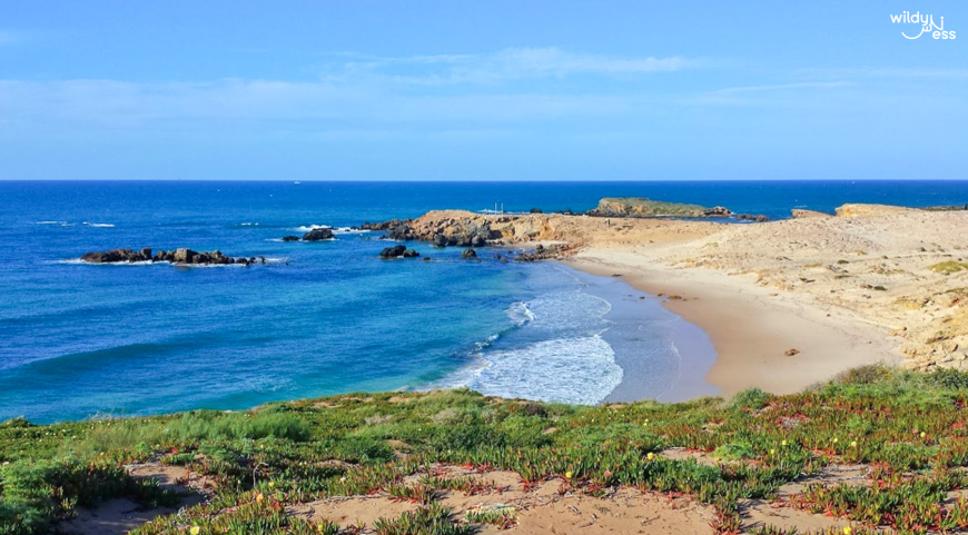 Ain Ensara Beach
