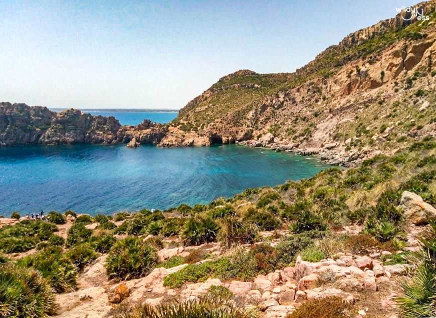 ras drek beach bizerte