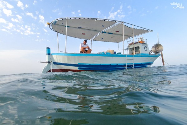 Getaway in a Fishing Boat with the Delights of the Sea