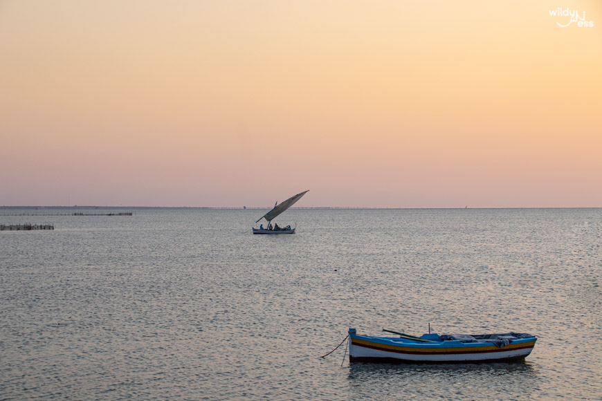 Coucher de Soleil Parc Charfia Kerkennah Tunisie