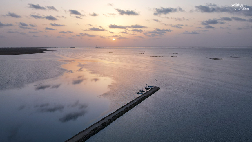 Sunrise at Port Abbassia Kerkennah