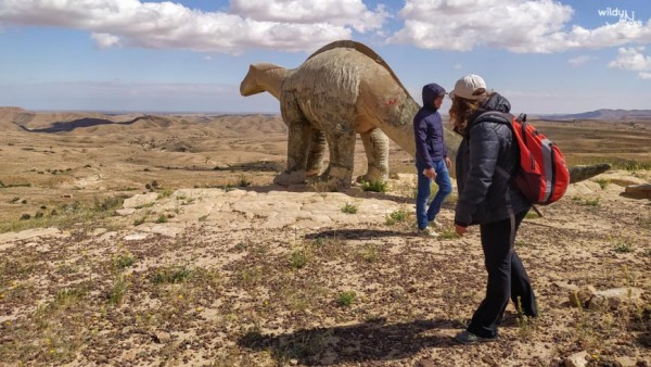 On the Footsteps of Dinosaurs
