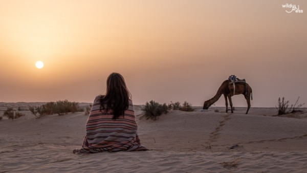 Desert Immersion