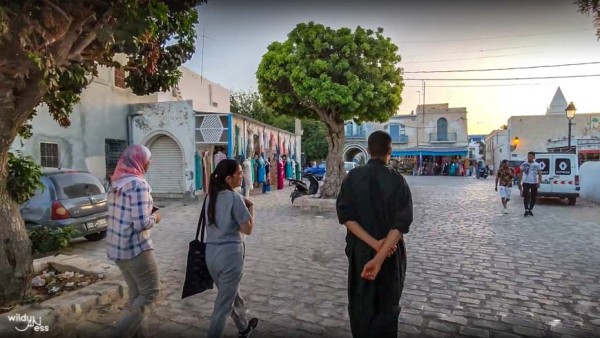 Guided Cultural Tour in Houmt Souk, Djerba