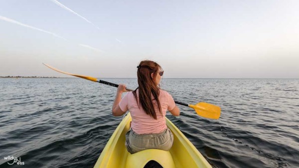 Djerba
