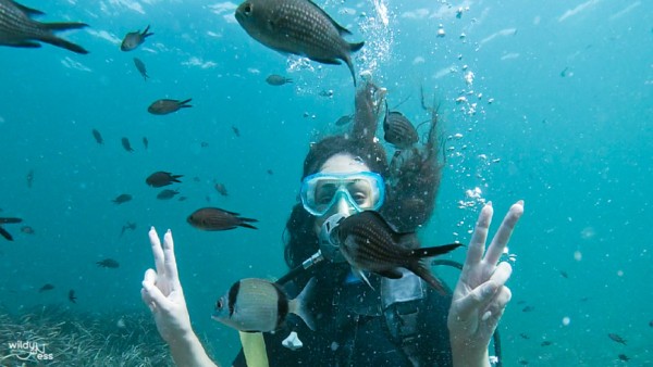 Discover Scuba Diving World! (Initiation)