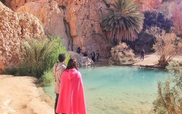 Full Day Immersion Tour in Tozeur