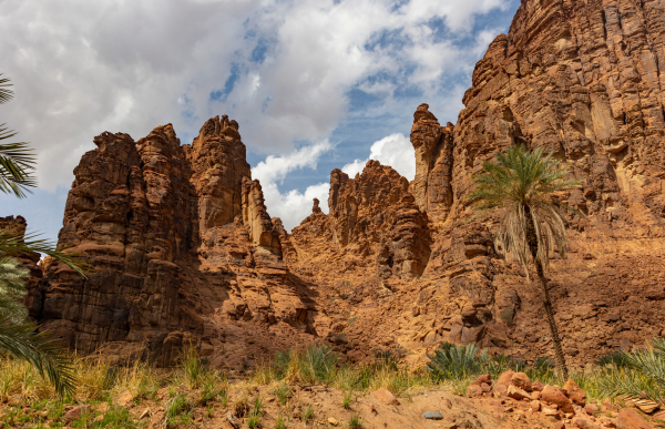 Tabuk