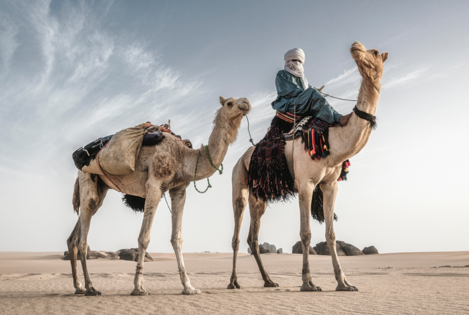 Algeria Tours Guide (2026): Tour Types, Regions and Tips