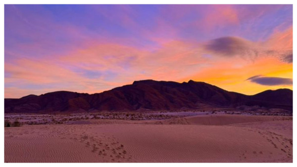 Discover Bousaada: An Immersive Desert & Culture Retreat