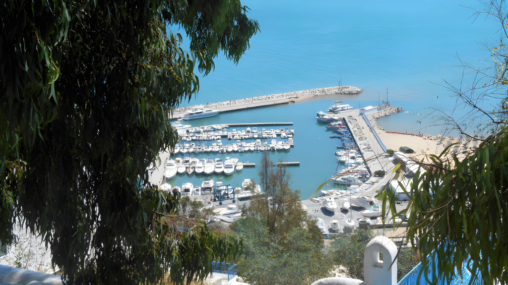 10 Best Things to Do in Sidi Bou Said: 2026 Travel Guide