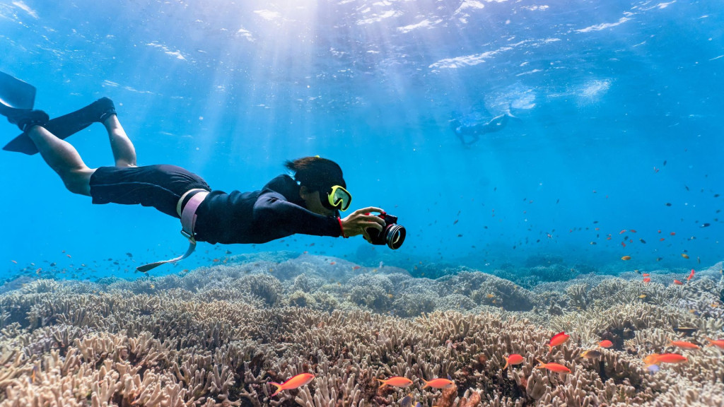 Underwater Adventures: Diving in Fujairah, UAE 2026