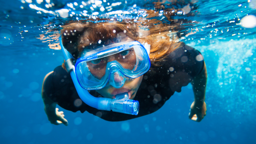 Snorkelling in Fujairah: Best Spots, Marine Life & Local Tip