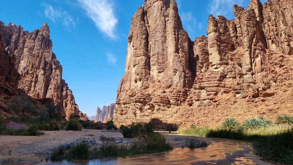 Wadis in KSA: A Complete Guide to Saudi Arabia's Most Beautiful Valleys