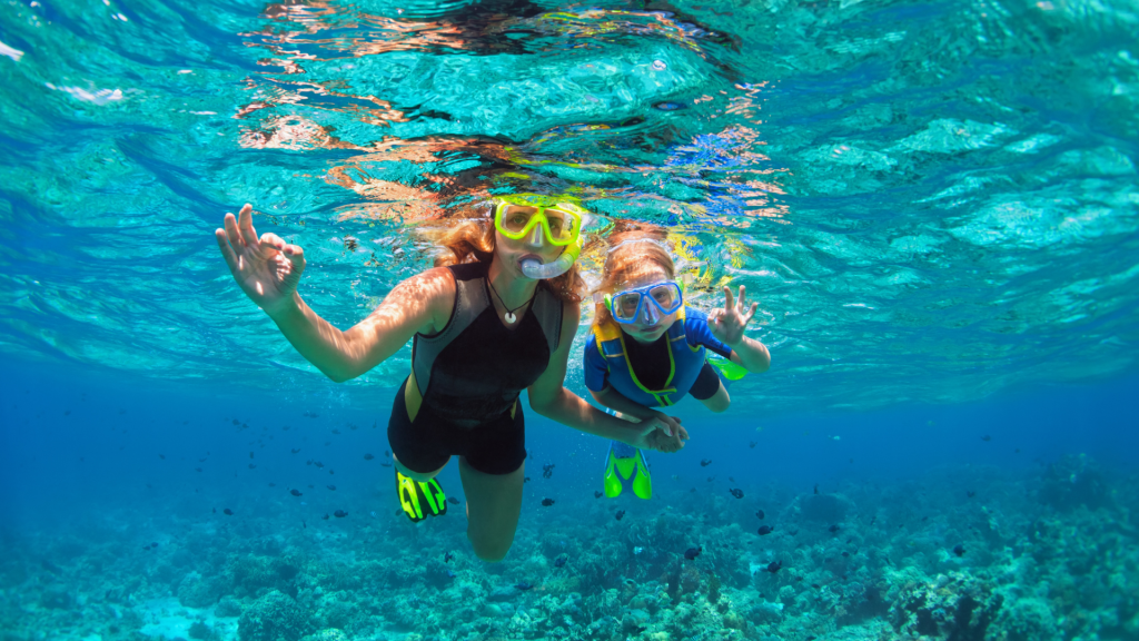 Snorkeling in the UAE: Best Spots, Seasons & Tips in 2026