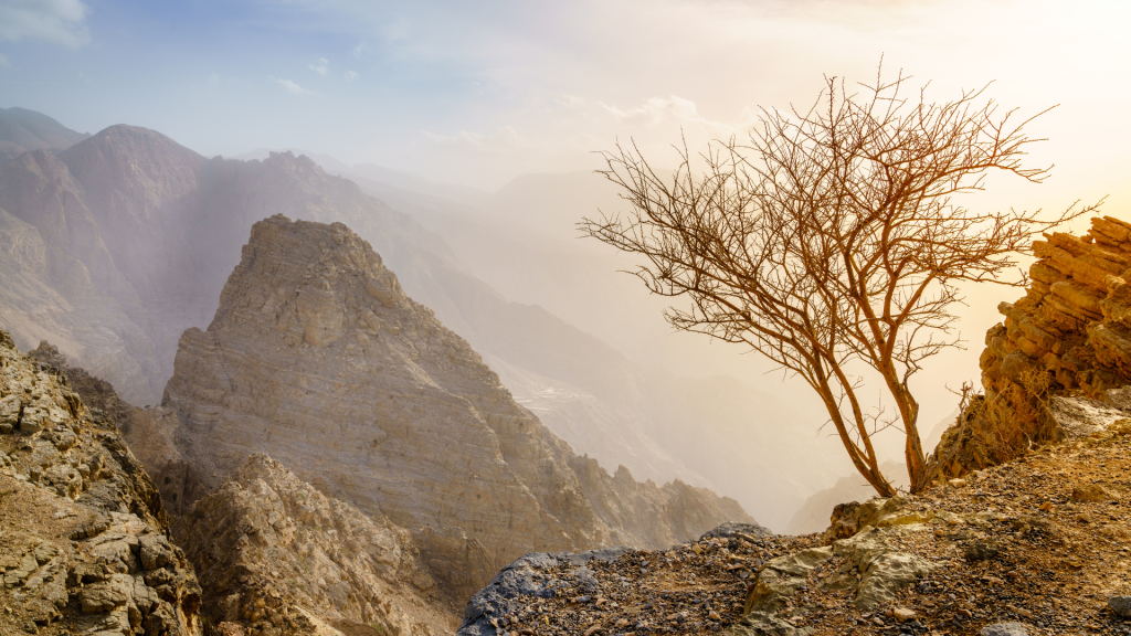 Hikes in Ras Al Khaimah: Your Guide to Jebel Jais & Beyond