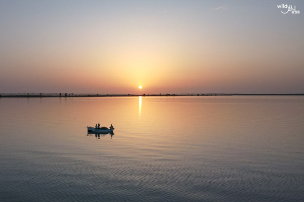 Solar Eclipse 2027 & The Wonders of Coastal Tunisia
